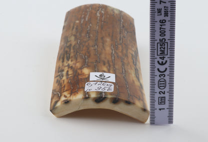 Caramel mammoth bark