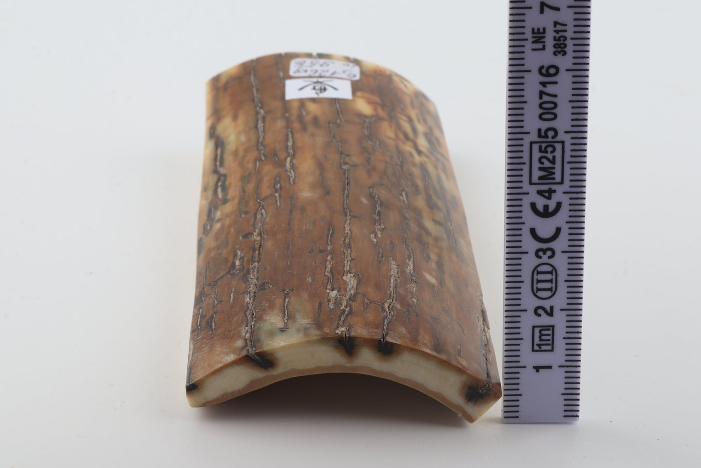 Caramel mammoth bark