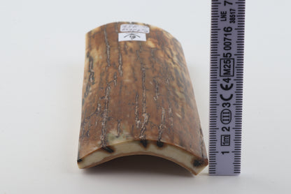 Caramel mammoth bark