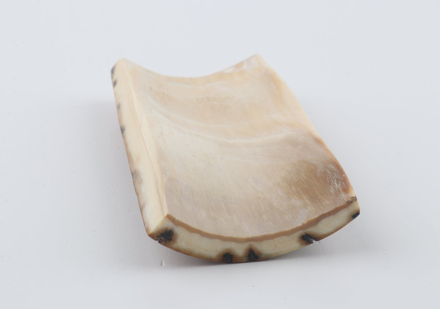 Caramel mammoth bark