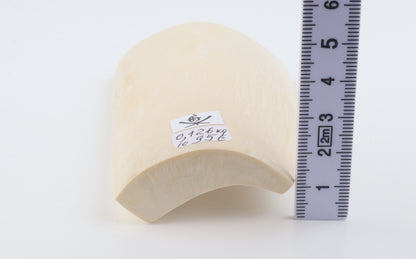 White mammoth ivory segment