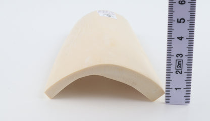 White mammoth ivory segment