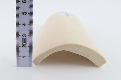White mammoth ivory segment