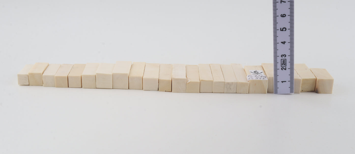 Natural mammoth ivory pieces