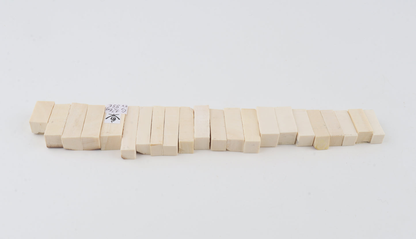 Natural mammoth ivory pieces