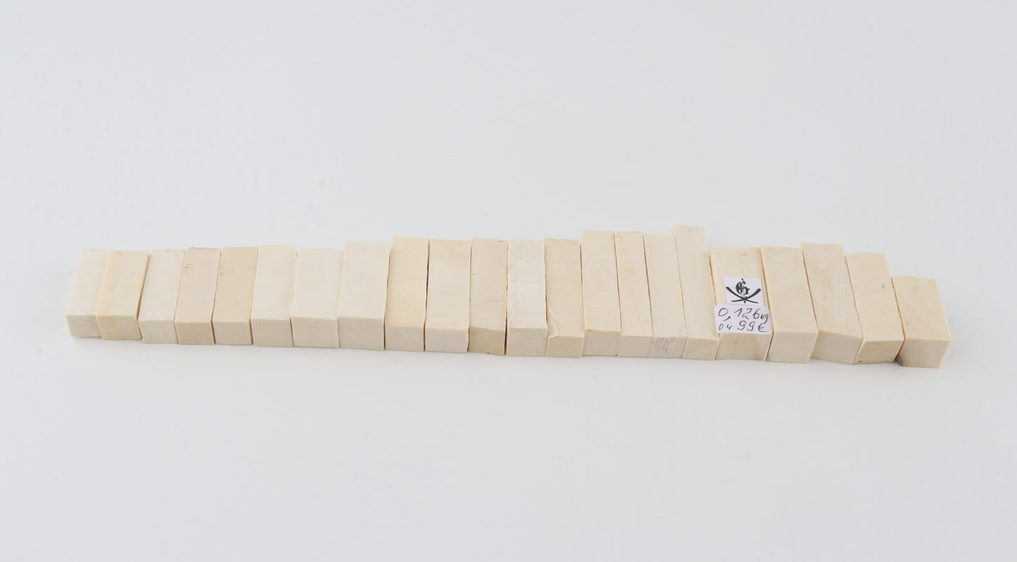 Natural mammoth ivory pieces