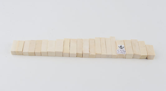 Natural mammoth ivory pieces