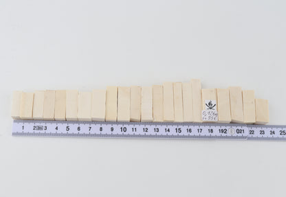 Natural mammoth ivory pieces