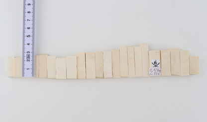 Natural mammoth ivory pieces