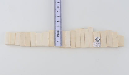 Natural mammoth ivory pieces