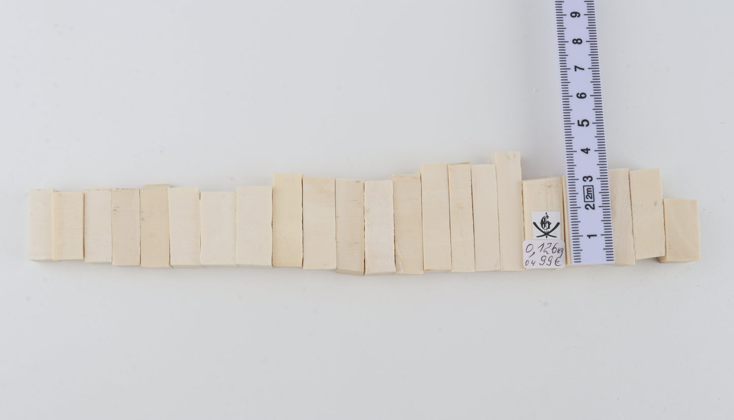 Natural mammoth ivory pieces