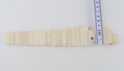 Natural mammoth ivory pieces