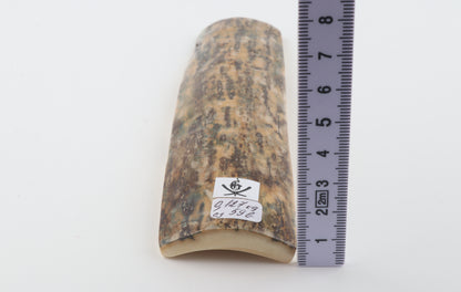 Natural mammoth bark