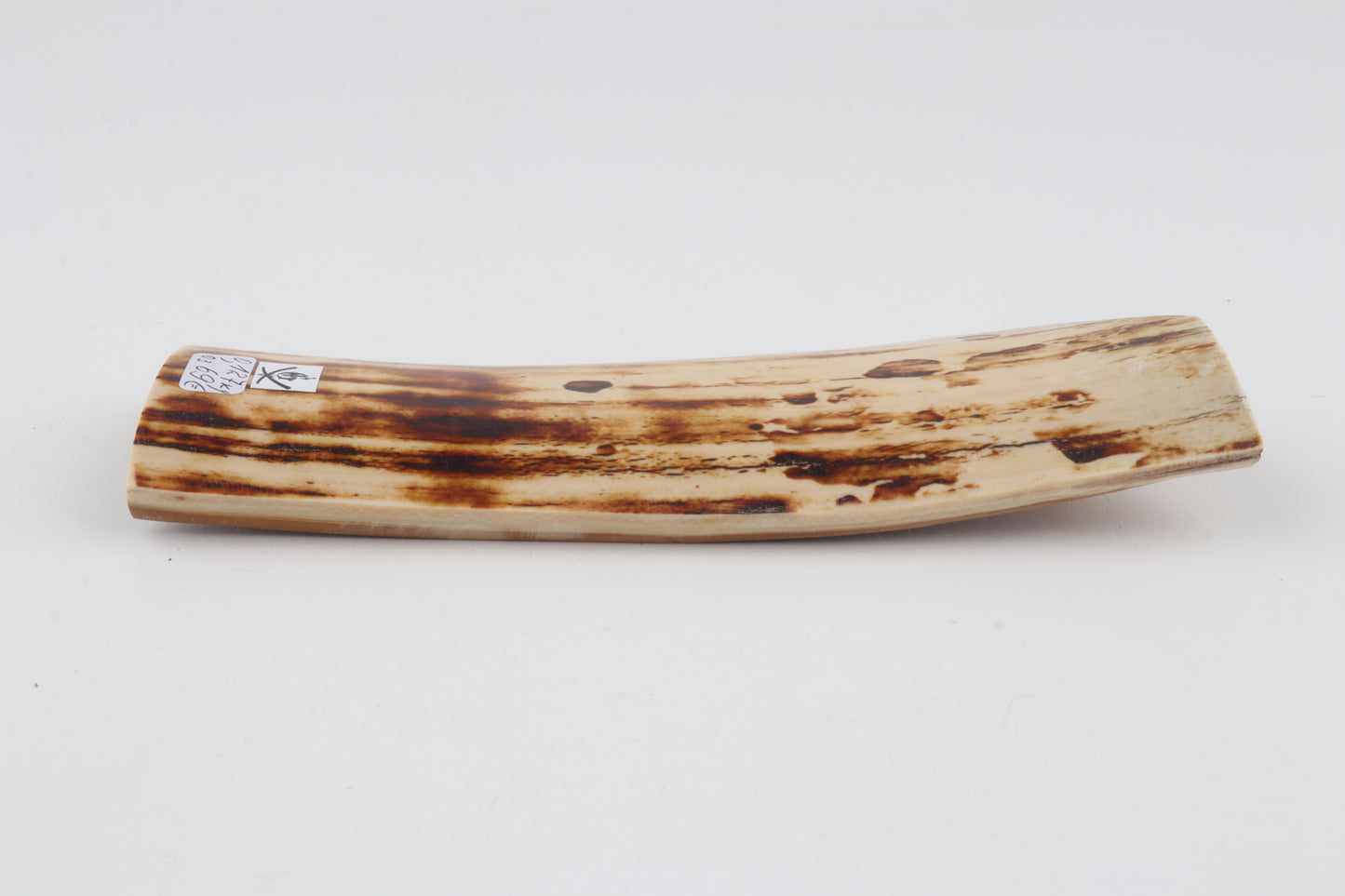 Natural woolly mammoth bark