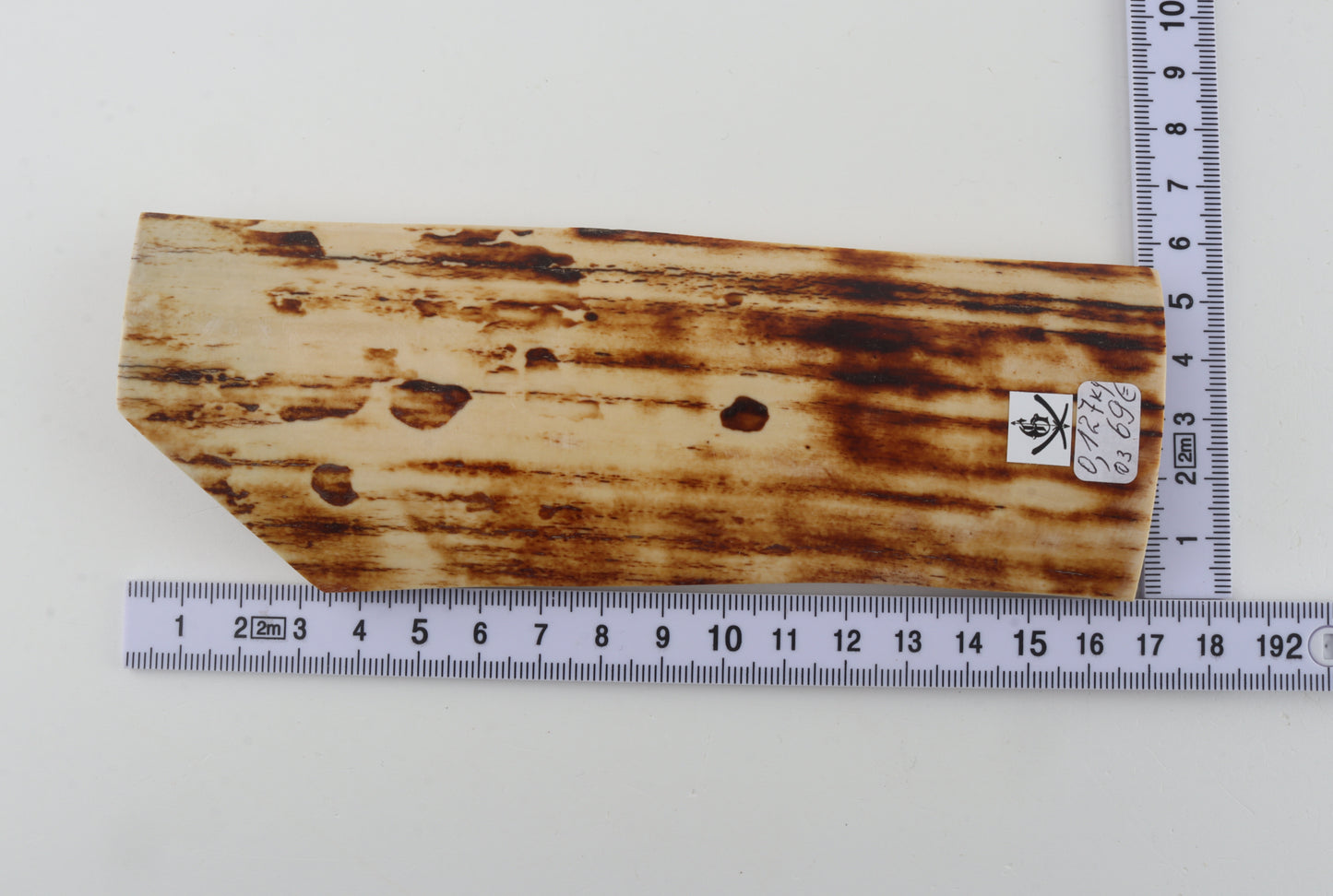 Natural woolly mammoth bark