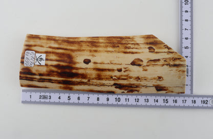 Natural woolly mammoth bark