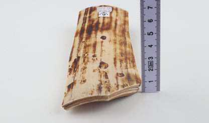 Natural woolly mammoth bark