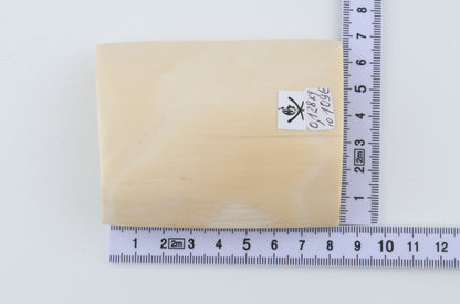 White mammoth ivory segment