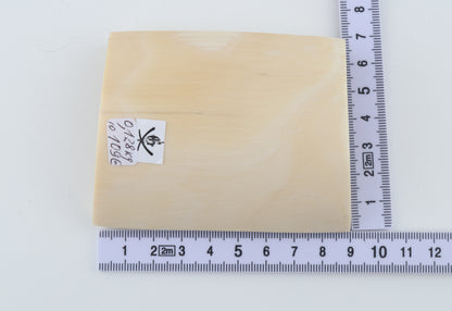 White mammoth ivory segment