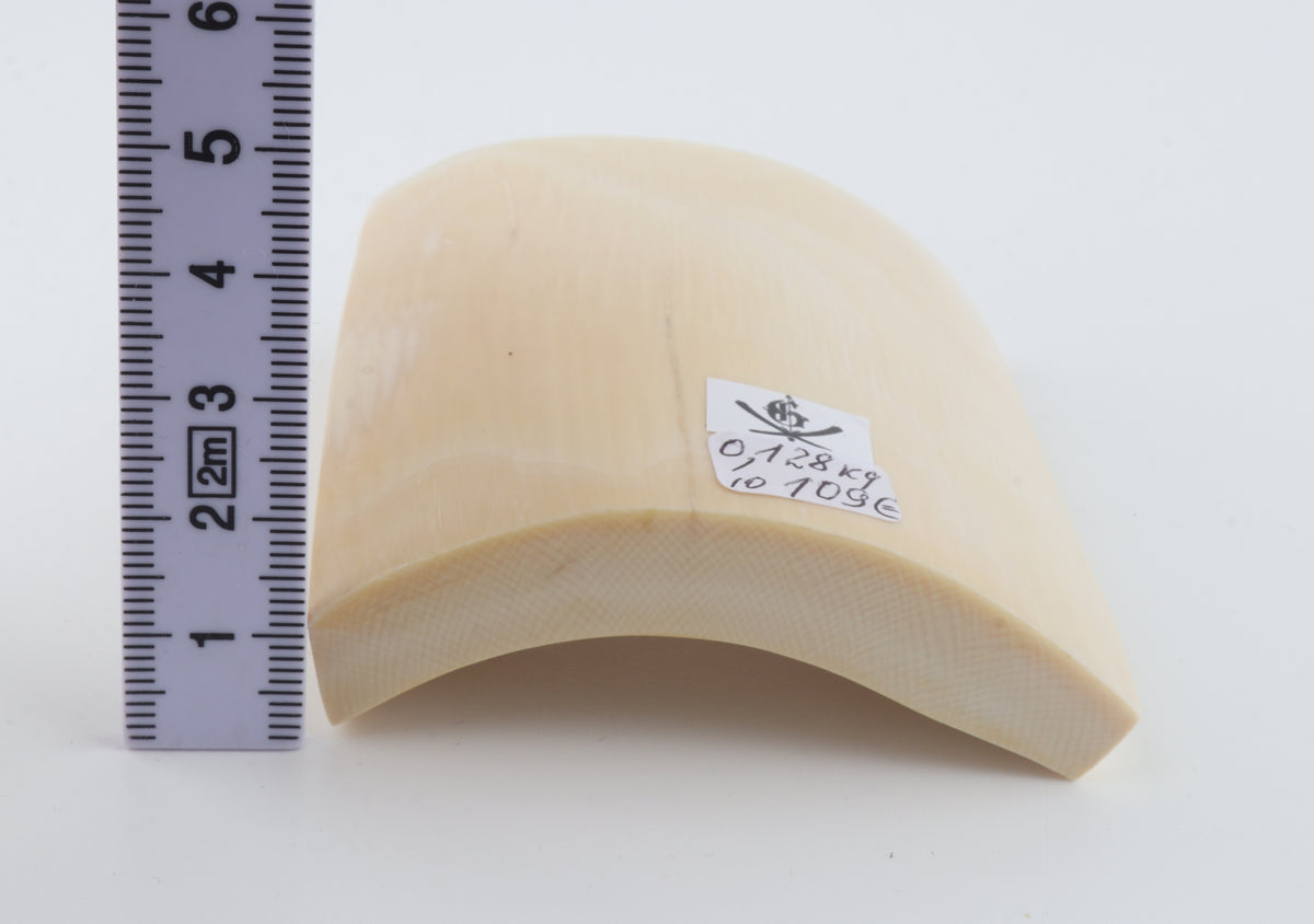 White mammoth ivory segment