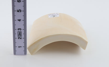 White mammoth ivory segment