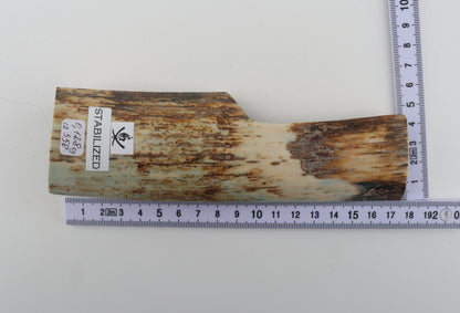 Stabilized woolly mammoth bark