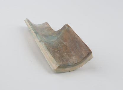 Stabilized woolly mammoth bark