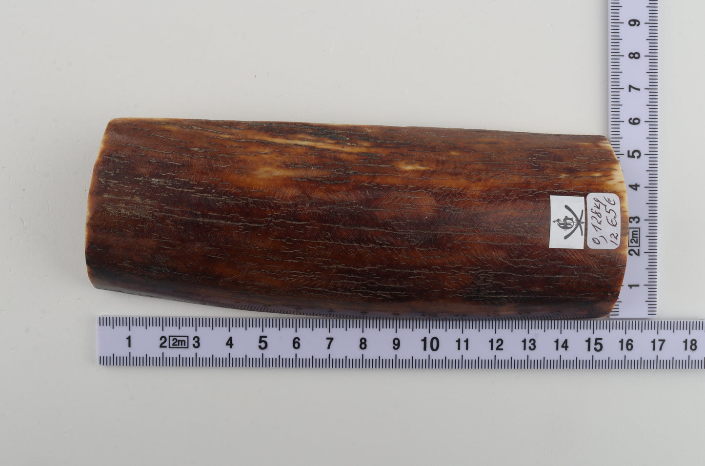 Brown-red mammoth bark