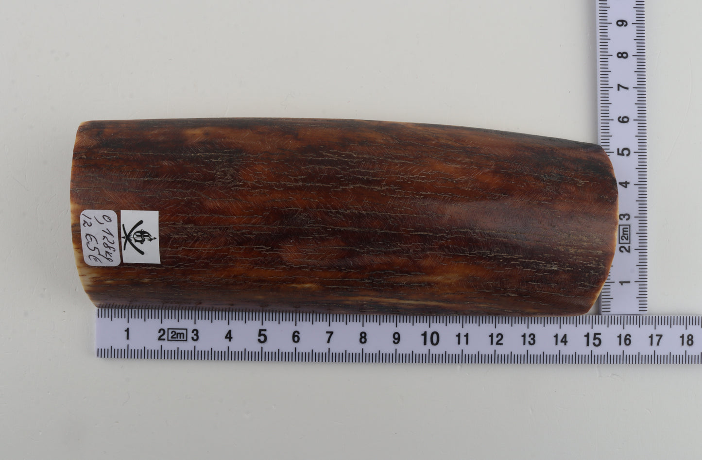 Brown-red mammoth bark