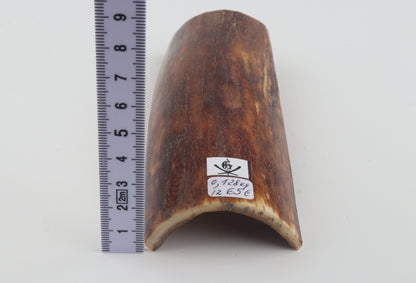 Brown-red mammoth bark