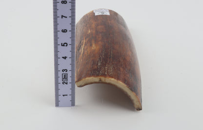 Brown-red mammoth bark