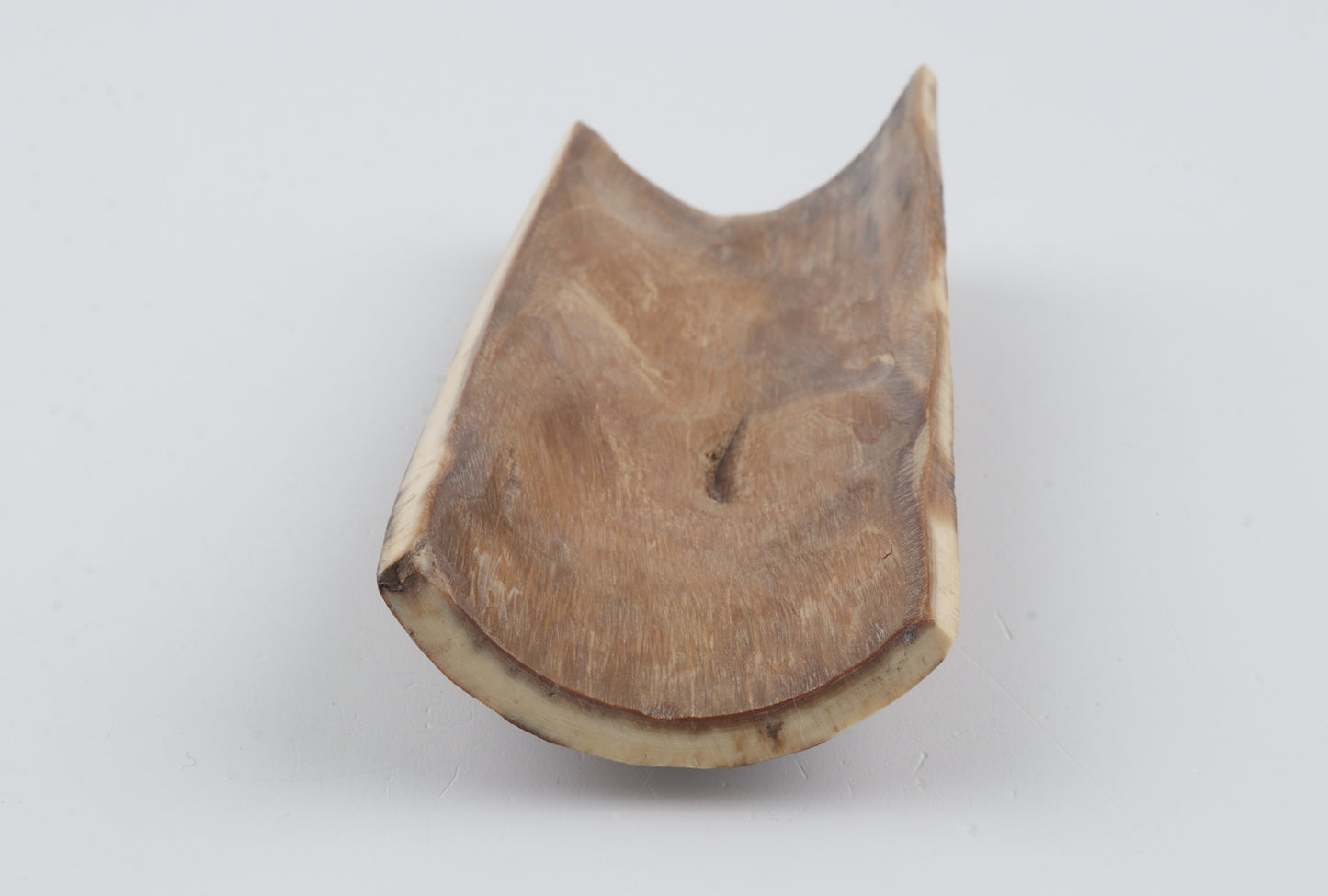 Brown-red mammoth bark