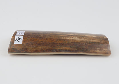 Mustard mammoth bark