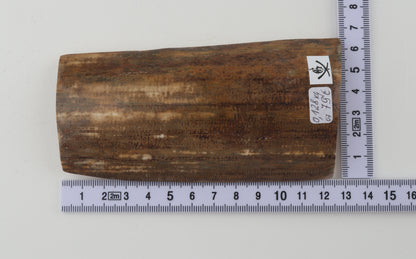 Mustard mammoth bark
