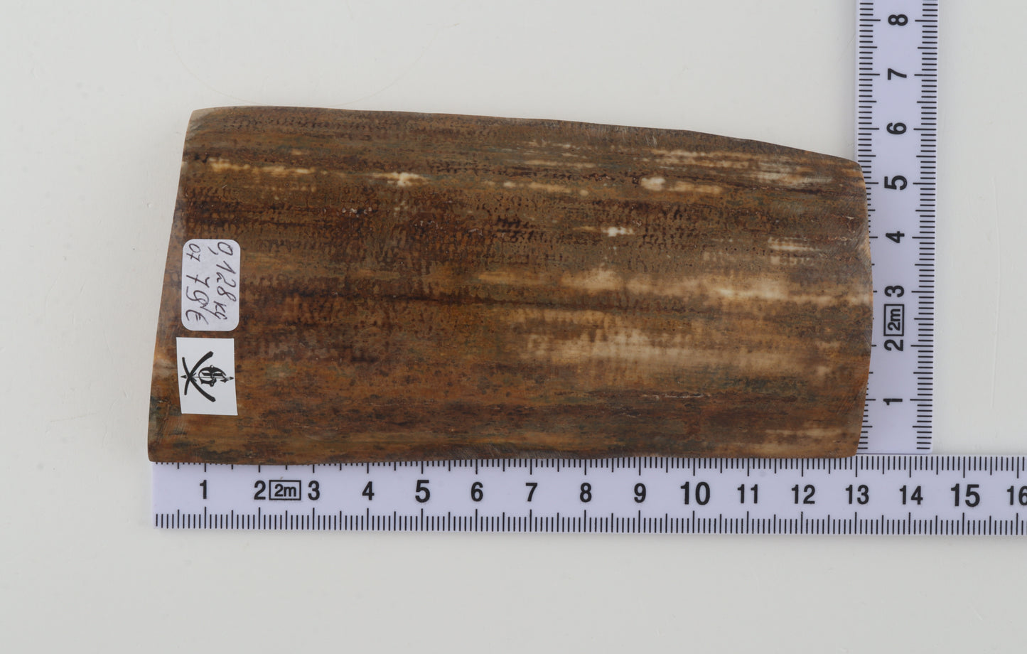 Mustard mammoth bark