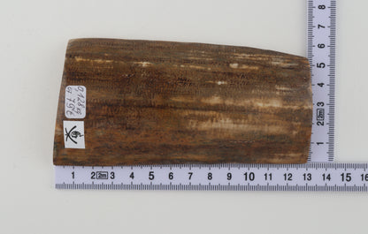 Mustard mammoth bark