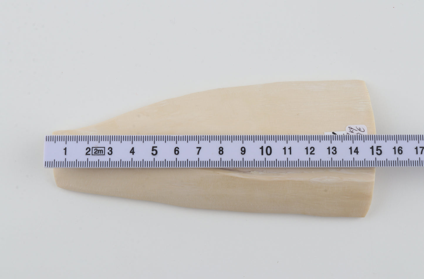 White mammoth ivory piece