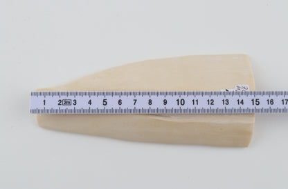 White mammoth ivory piece