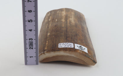 Mustard mammoth bark
