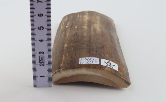 Mustard mammoth bark