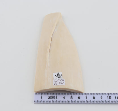 White mammoth ivory piece