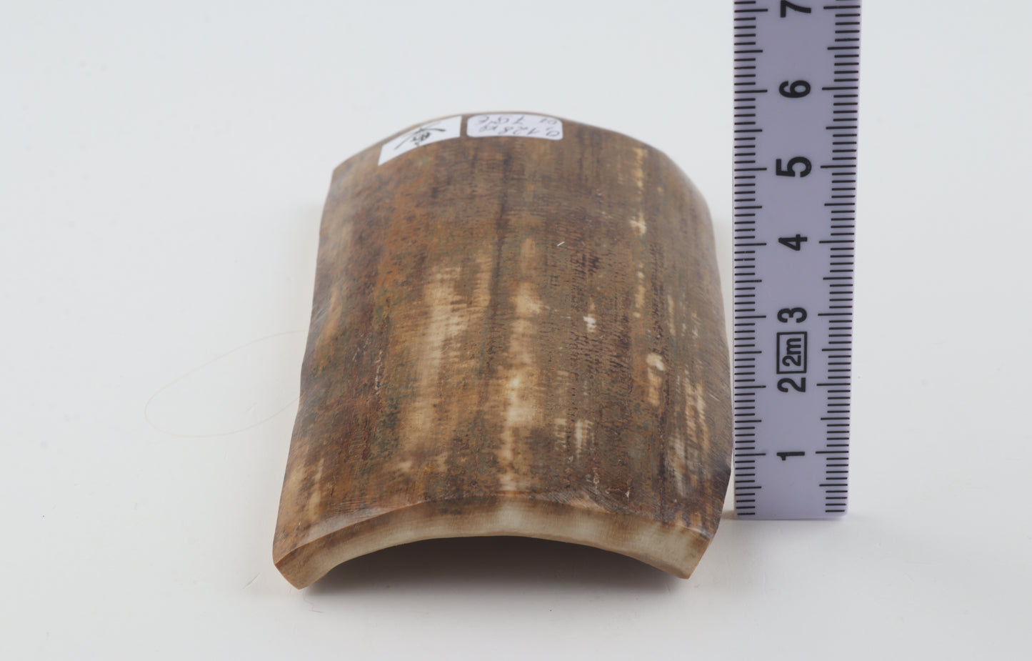 Mustard mammoth bark