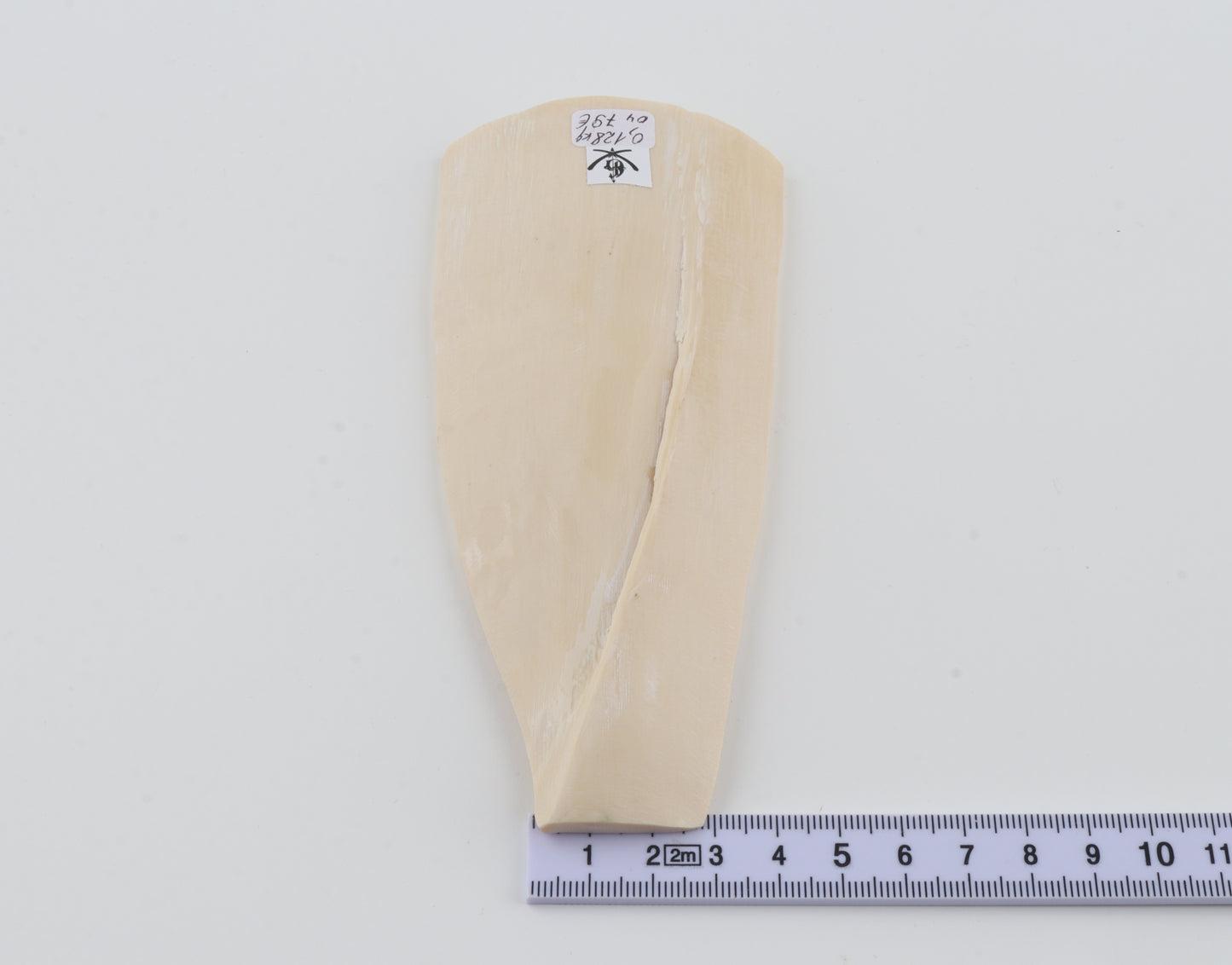 White mammoth ivory piece
