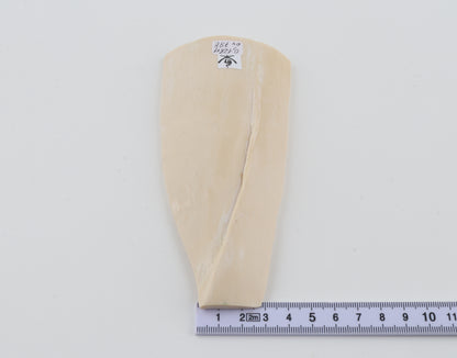 White mammoth ivory piece