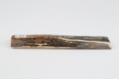 Blue-mustard mammoth bark