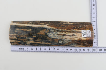 Blue-mustard mammoth bark