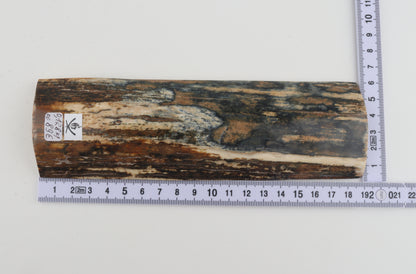 Blue-mustard mammoth bark