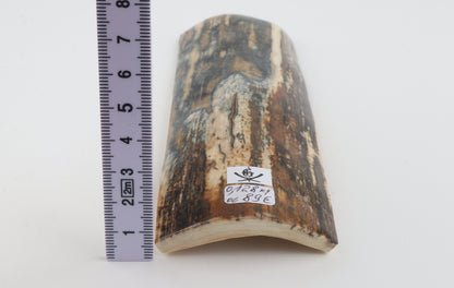 Blue-mustard mammoth bark