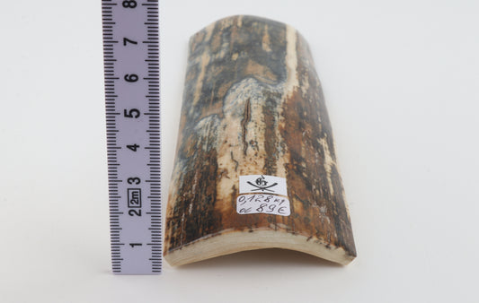 Blue-mustard mammoth bark