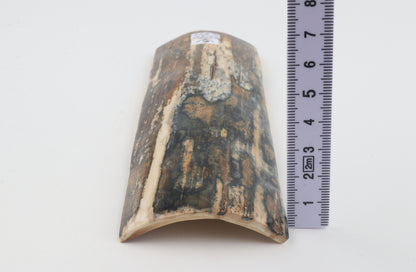 Blue-mustard mammoth bark